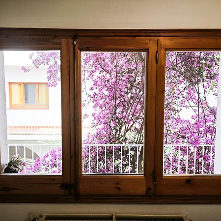 El Penell Apartament Llevant Vilamaniscle Kültér fotó