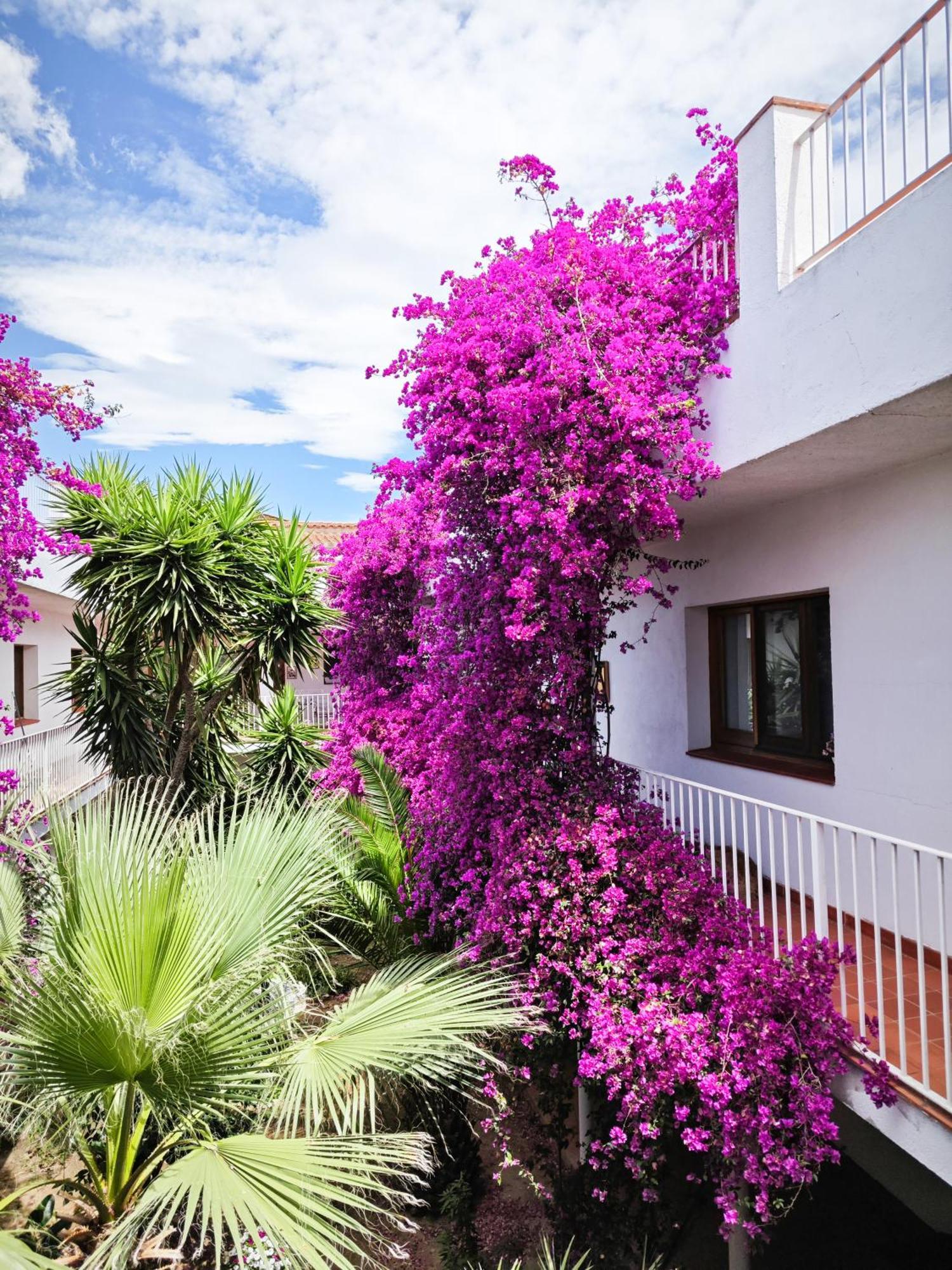 El Penell Apartament Llevant Vilamaniscle Kültér fotó